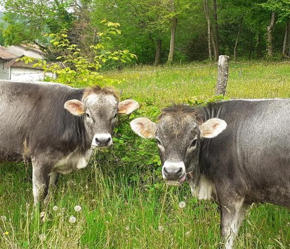 Agriturismo Dell'Altopiano Serle Kültér fotó
