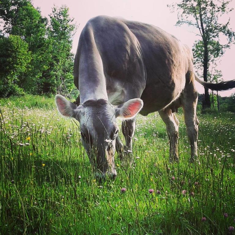 Agriturismo Dell'Altopiano Serle Kültér fotó